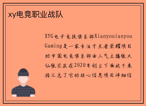 xy电竞职业战队